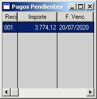 Pagos Pendientes